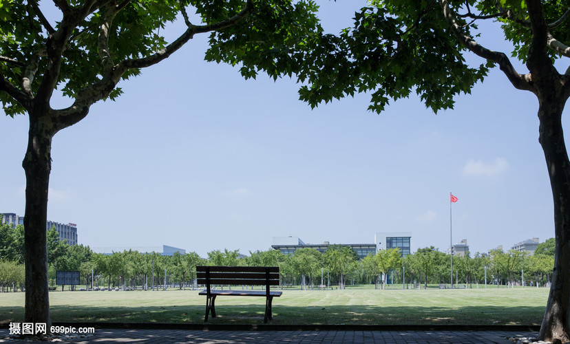 大学校园绿荫草地环境