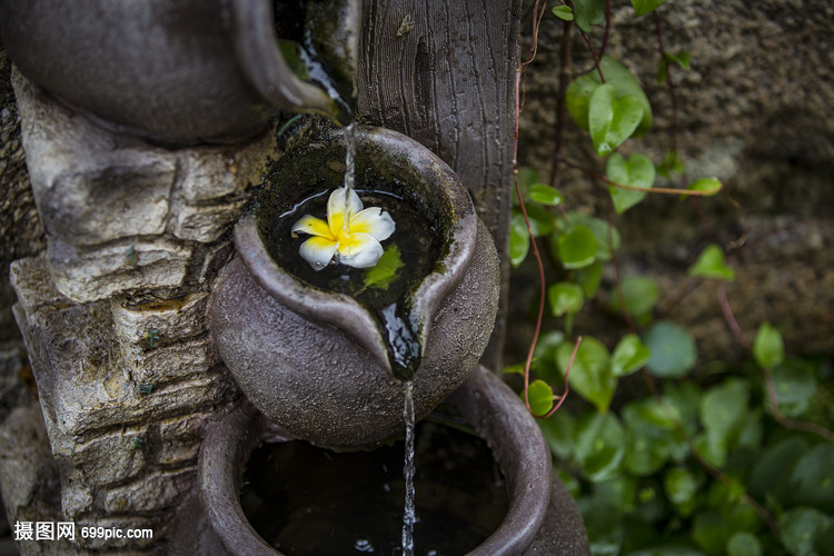 落花有情流水无情