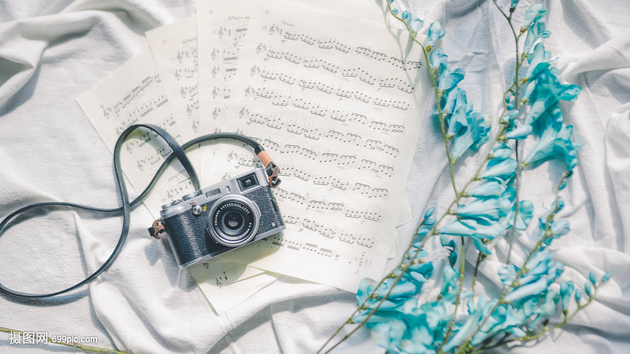 悠闲的午后阅读时光