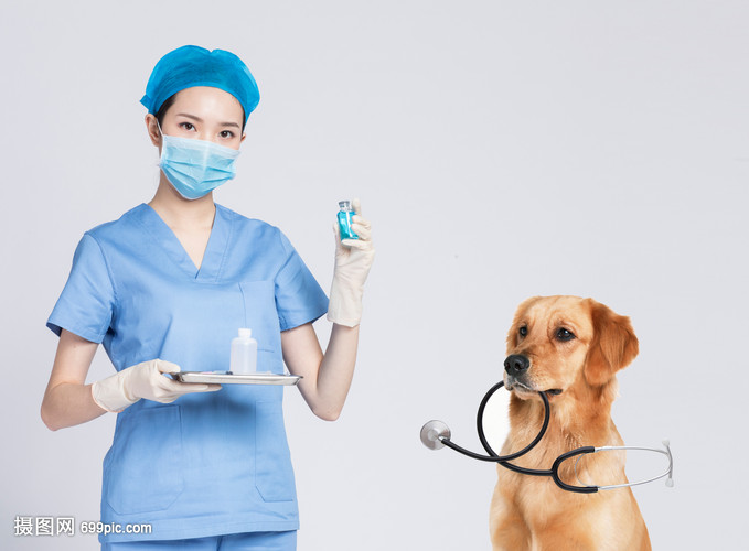 宠物医生