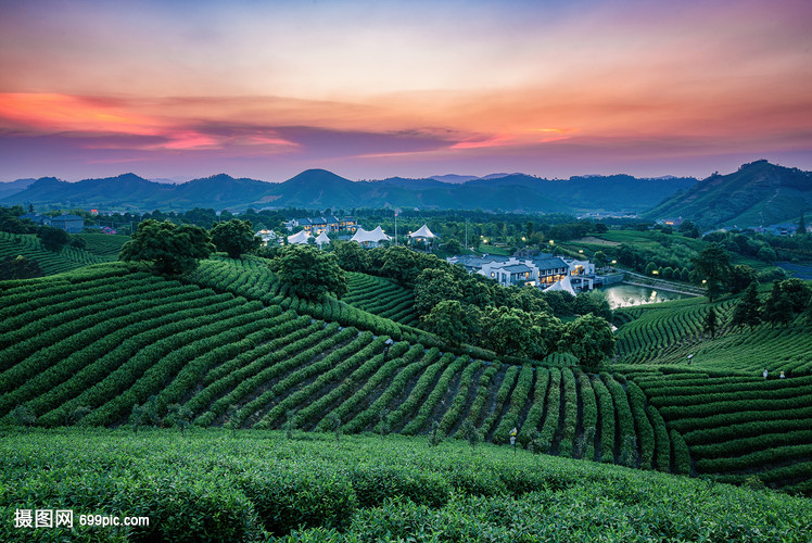 浙江安吉茶园别墅区夕阳