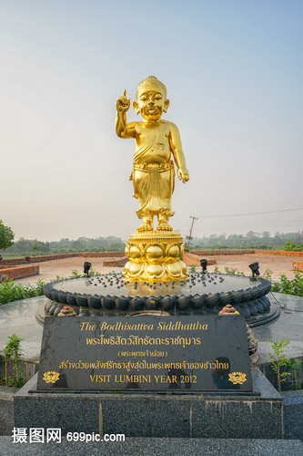 尼泊尔著名景点释迦摩尼诞生地菩提树