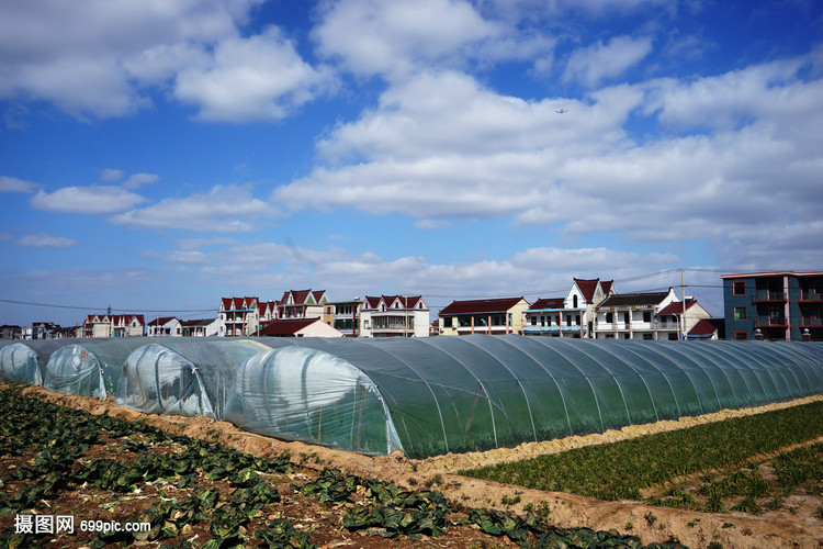 上海浦东书院镇新农村蔬菜大棚