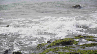 4k实拍青岛石老人风景区海浪视频素材视频素材