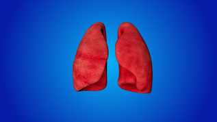 人体肺部动画背景视频视频素材