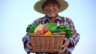 农民抱着新鲜蔬菜开心微笑视频素材