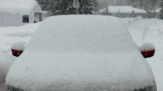 被雪覆盖的汽车视频素材