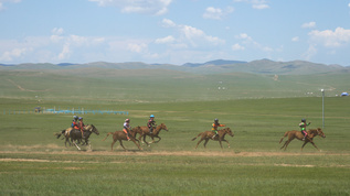蒙古赛马比赛视频素材