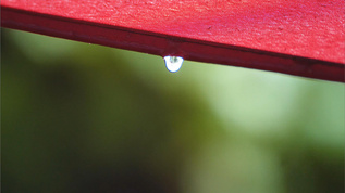 伞布上落下的水滴视频素材