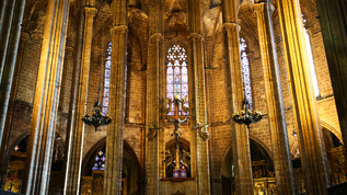 西班牙巴塞罗那主教堂视频素材