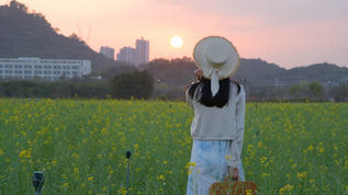  4K夕阳油菜花海中的少女视频素材