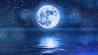 唯美夜晚月亮合成背景视频视频素材