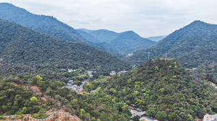 广东肇庆5A景点鼎湖山航拍视频素材