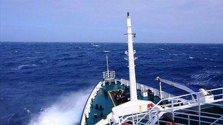 南极科考船乘风破浪航行视频素材