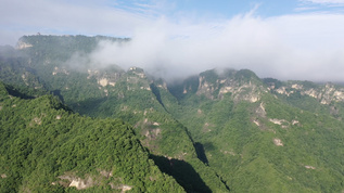 甘肃平凉崆峒山夏季云海视频素材