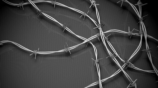 有刺铁丝线动画mov格式视频下载_正版视频编号3717697-摄图网