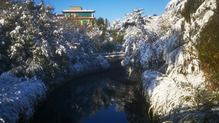 冬天雪景视频素材