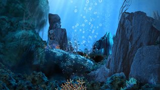 梦幻海底鱼群珊瑚海洋波浪视频素材