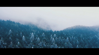 航拍阳明山雾凇雪山松树森林公园视频素材