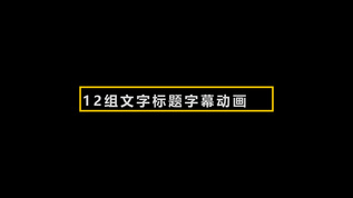 12组字幕动画标题2017PR视频模板视频素材