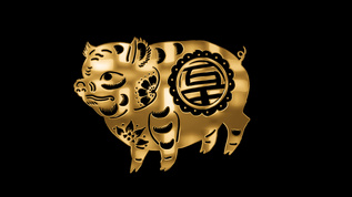 金色十二生肖 亥猪视频素材