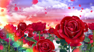 4K玫瑰花穿梭背景素材视频素材