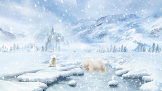 4k雪中北极熊的优美背景视频视频素材