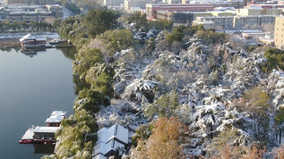 冬天雪景航拍视频素材