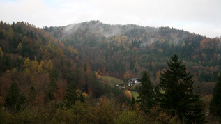 奥地利卡林西亚森林云雾飘荡视频素材