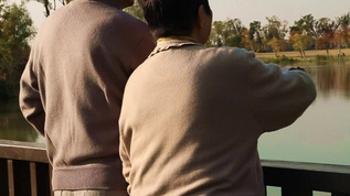 在湖边看风景的老年夫妇背影视频素材