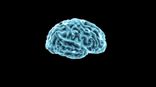 人体大脑三维动画透明通道4k视频素材