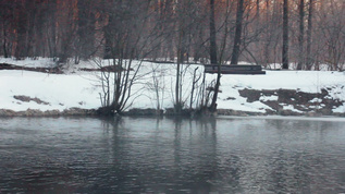 温特河冬河雾景冬季背景视频素材