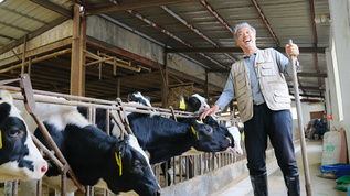 奶牛养殖场主开心大笑视频素材