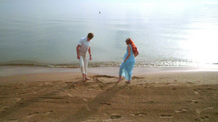浪漫情侣在沙上寻欢作乐视频素材