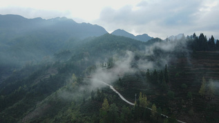 重庆农村景色航拍视频素材