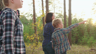 有两个孩子的家庭在美丽的森林中行走视频素材