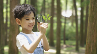 小男孩用放大镜观察着手里的树叶视频素材