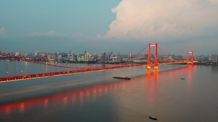 航拍武汉鹦鹉洲长江大桥夜景视频素材