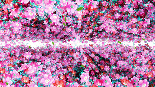 4K唯美的花丛穿梭背景素材视频素材