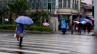 下雨天撑伞过马路的行人合集视频素材