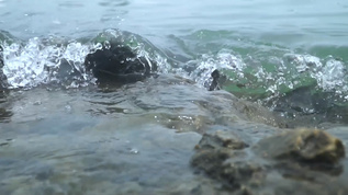 海滩边的海浪视频素材