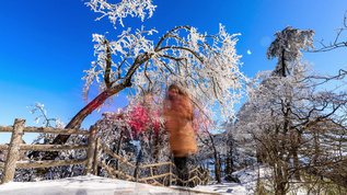 黄山风景区冬季雾凇奇观延时摄影视频素材