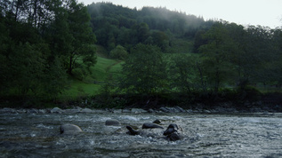 山河和森林的景色视频素材
