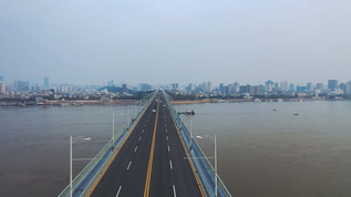 航拍武汉地标黄鹤楼长江大桥视频素材
