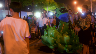 卖蛙青蛙玩偶步行街地摊经济视频素材