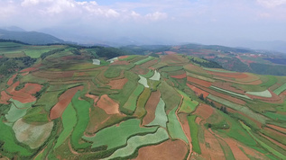 云南东川红土地梯田航拍视频素材