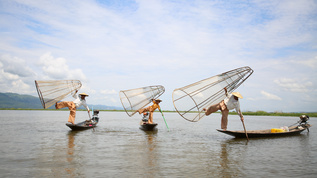 缅甸茵莱湖渔民视频素材