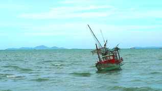 河水涨潮时渔船停泊在海上视频素材
