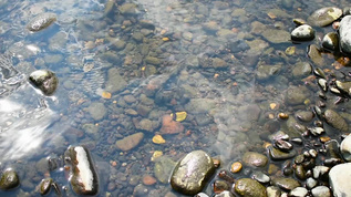 清洁透明水下的河卵石视频素材