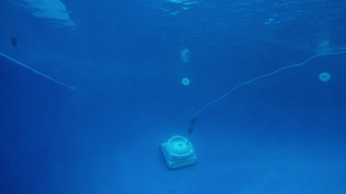 自动游泳池清洁机器人视频素材